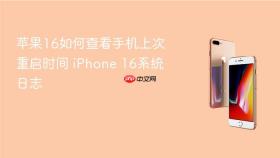 苹果16如何查看手机上次重启时间 iPhone 16系统日志