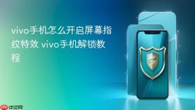 vivo手机怎么开启屏幕指纹特效 vivo手机解锁教程
