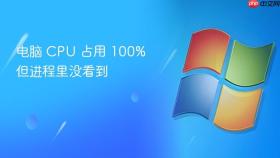电脑 cpu 占用 100% 但进程里没看到