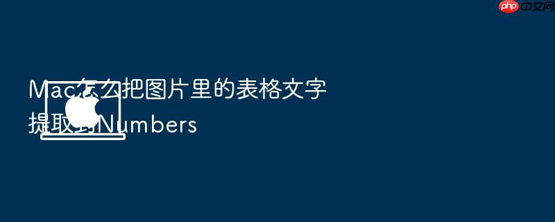 mac怎么把图片里的表格文字提取到numbers