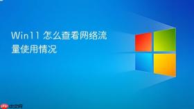 Win11 怎么查看网络流量使用情况