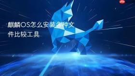 麒麟OS怎么安装各种文件比较工具