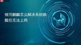 银河麒麟怎么解决系统唤醒后无法上网