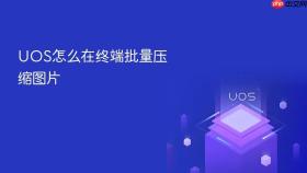 uos怎么在终端批量压缩图片