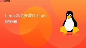 Linux怎么安装GitLab服务器