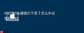 macbook键盘灯不亮了怎么手动强制开启
