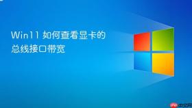 win11 如何查看显卡的总线接口带宽