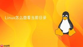linux怎么查看当前目录