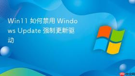 win11 如何禁用 windows update 强制更新驱动