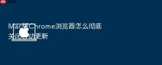 mac版chrome浏览器怎么彻底关闭自动更新