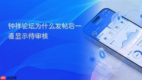 钟祥论坛为什么发帖后一直显示待审核