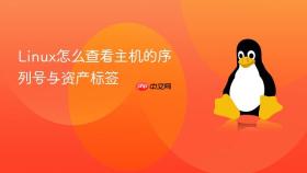 linux怎么查看主机的序列号与资产标签