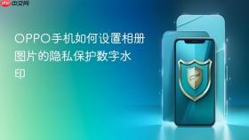 oppo手机如何设置相册图片的隐私保护数字水印