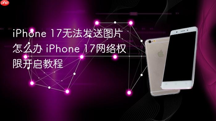 iphone 17无法发送图片怎么办 iphone 17网络权限开启教程