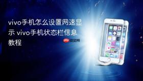 vivo手机怎么设置网速显示 vivo手机状态栏信息教程