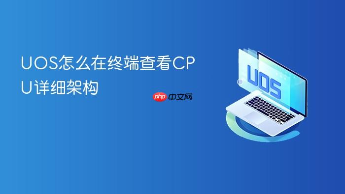 uos怎么在终端查看cpu详细架构