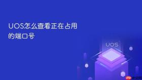 uos怎么查看正在占用的端口号