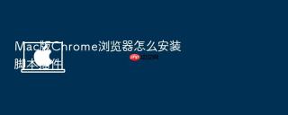 Mac版Chrome浏览器怎么安装脚本插件