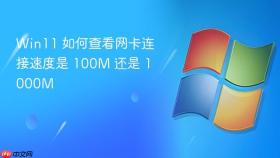 win11 如何查看网卡连接速度是 100m 还是 1000m