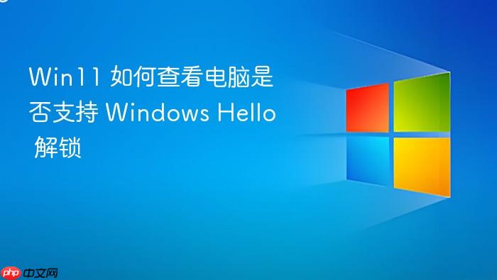 win11 如何查看电脑是否支持 windows hello 解锁