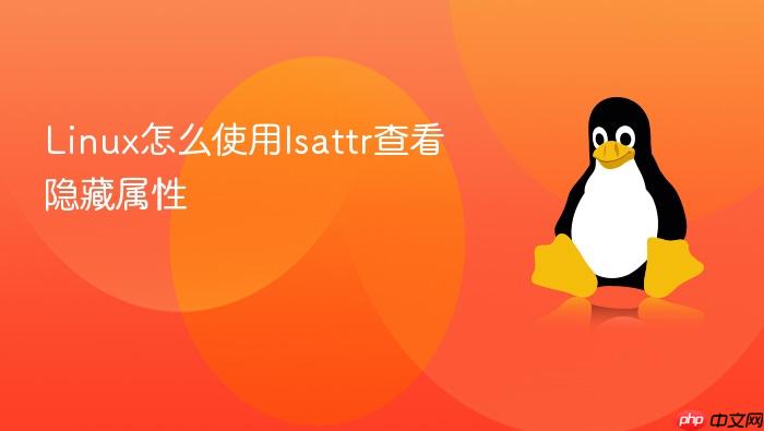 linux怎么使用lsattr查看隐藏属性