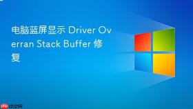 电脑蓝屏显示 Driver Overran Stack Buffer 修复