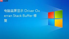电脑蓝屏显示 driver overran stack buffer 修复