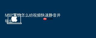 mac系统怎么给视频快速静音并导出