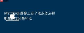 macbook屏幕上有个黑点怎么判断是灰尘还是坏点