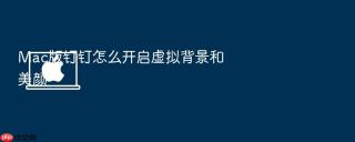 mac版钉钉怎么开启虚拟背景和美颜