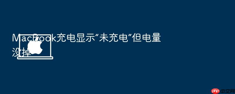 macbook充电显示“未充电”但电量没掉