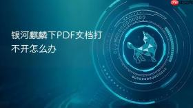 银河麒麟下pdf文档打不开怎么办