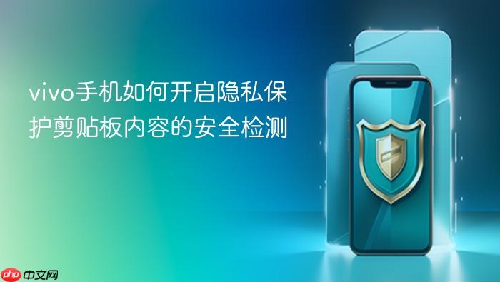 vivo手机如何开启隐私保护剪贴板内容的安全检测