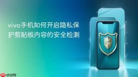 vivo手机如何开启隐私保护剪贴板内容的安全检测
