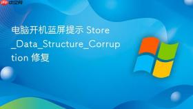 电脑开机蓝屏提示 Store_Data_Structure_Corruption 修复