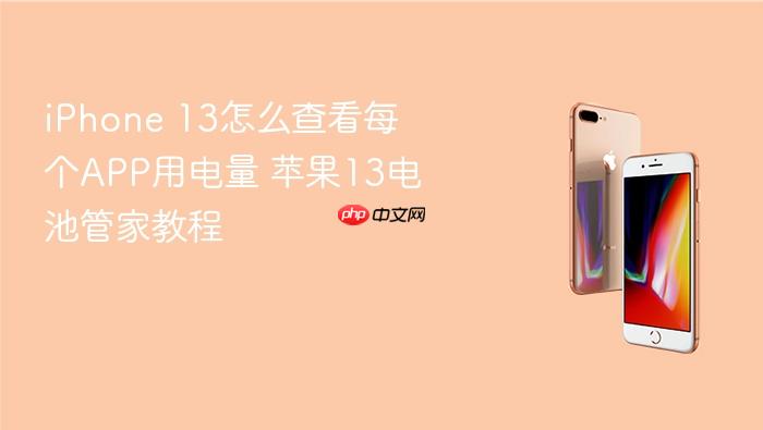 iphone 13怎么查看每个app用电量 苹果13电池管家教程