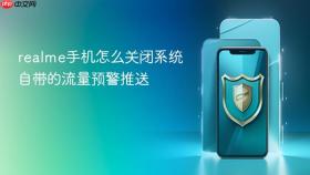 realme手机怎么关闭系统自带的流量预警推送