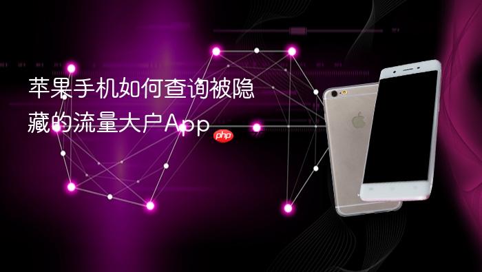 苹果手机如何查询被隐藏的流量大户app