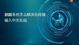 麒麟系统怎么解决在终端输入中文乱码