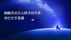 麒麟系统怎么解决软件菜单栏文字重叠