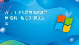 win11 浏览器页面崩溃显示“喔唷,崩溃了”解决方法