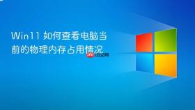 win11 如何查看电脑当前的物理内存占用情况