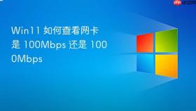 win11 如何查看网卡是 100mbps 还是 1000mbps