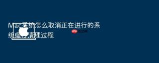 mac系统怎么取消正在进行的系统缓存清理过程