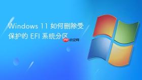 windows 11 如何删除受保护的 efi 系统分区