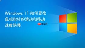 windows 11 如何更改鼠标指针的滑动和移动速度快慢