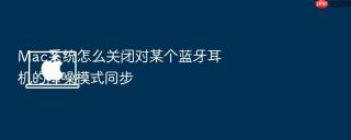 Mac系统怎么关闭对某个蓝牙耳机的降噪模式同步