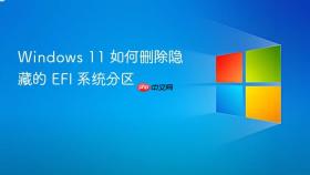 windows 11 如何删除隐藏的 efi 系统分区
