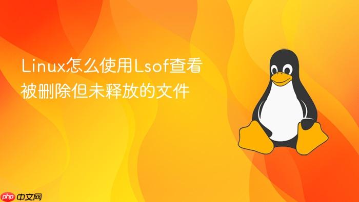 linux怎么使用lsof查看被删除但未释放的文件