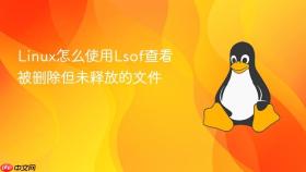 Linux怎么使用Lsof查看被删除但未释放的文件